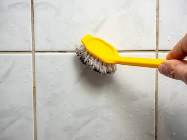 Best Local Mold Removal Service  in Jupiter, FL