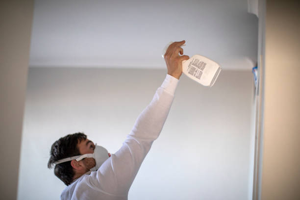 Best Commercial Mold Removal  in Jupiter, FL